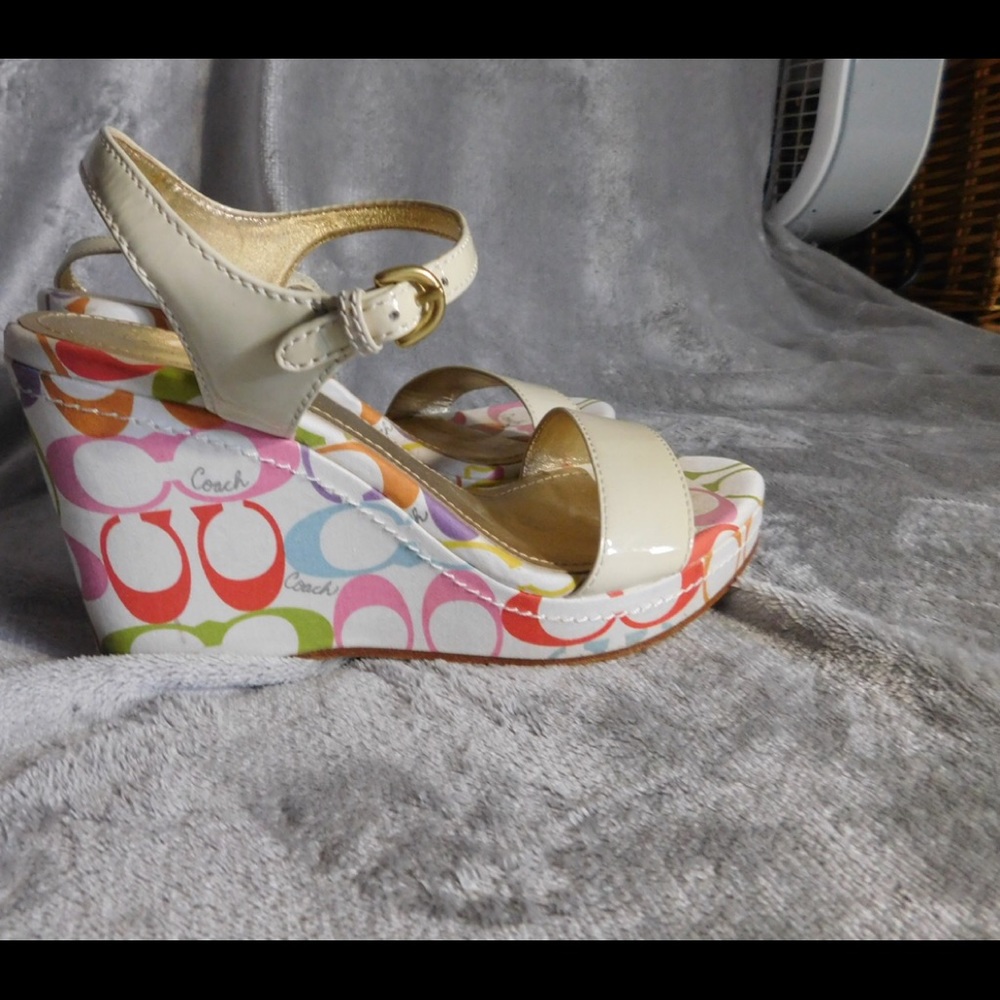 Colorful wedges